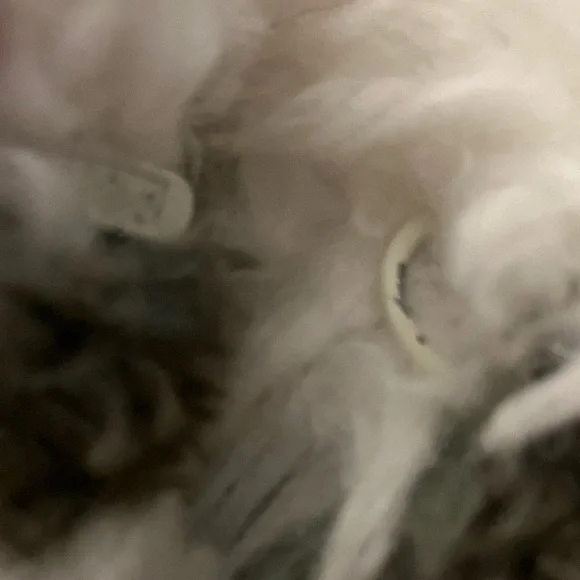 I.N.C. International Concepts Black and White Faux Fur Shag Jacket Size … - Picture 6 of 7